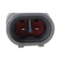 Seitenmarkierungsleuchte DT SPARE PARTS IAM-Expertise...