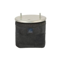 Federbalg Luftfederung DT SPARE PARTS IAM-Expertise...