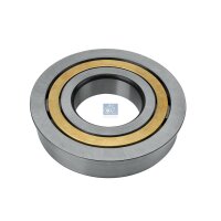 Bearing Manual Transmission Ø 65 mm DT SPARE PARTS...