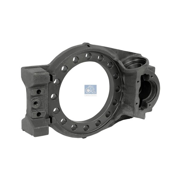 Bremsträgerplatte DT SPARE PARTS IAM-Expertise passend für u.a. RENAULT