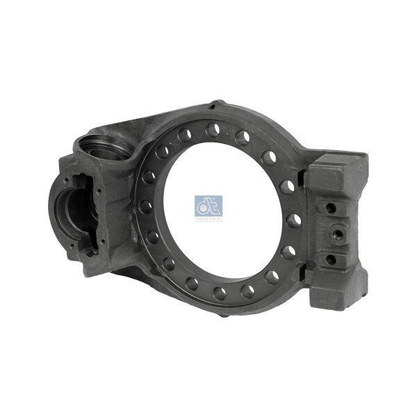 Bremsträgerplatte DT SPARE PARTS IAM-Expertise passend für u.a. RENAULT