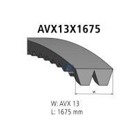 Verbundkeilriemen AVX13X1675 1.675 mm 13 mm DT SPARE...