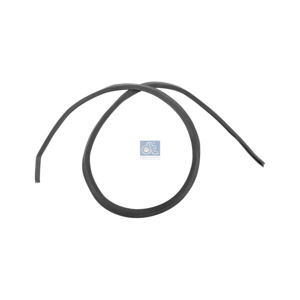 Zier-/Schutzleiste Tür vorne rechts DT SPARE PARTS passend für IVECO