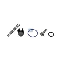 Repair Kit DT SPARE PARTS IAM-Expertise suitable for e.g....
