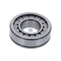 Bearing Drive Shaft Ø 40 mm DT SPARE PARTS...