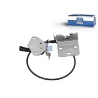 Halter Kühlergitter DT SPARE PARTS IAM-Expertise...
