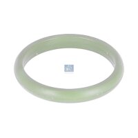 Dichtung Ölpumpe DT SPARE PARTS IAM-Expertise...