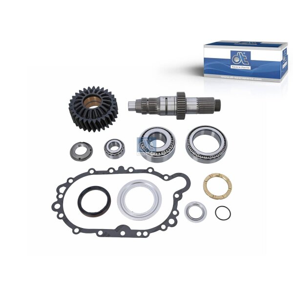 Reparatursatz Differential DT SPARE PARTS IAM-Expertise passend für SCANIA