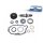 Reparatursatz Differential DT SPARE PARTS IAM-Expertise passend für SCANIA