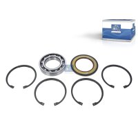 Repair Kit DT SPARE PARTS IAM-Expertise suitable for e.g....