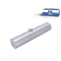 Achsschenkelbolzen DT SPARE PARTS IAM-Expertise passend...