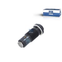 Spanner Steuerkette DT SPARE PARTS IAM-Expertise passend...