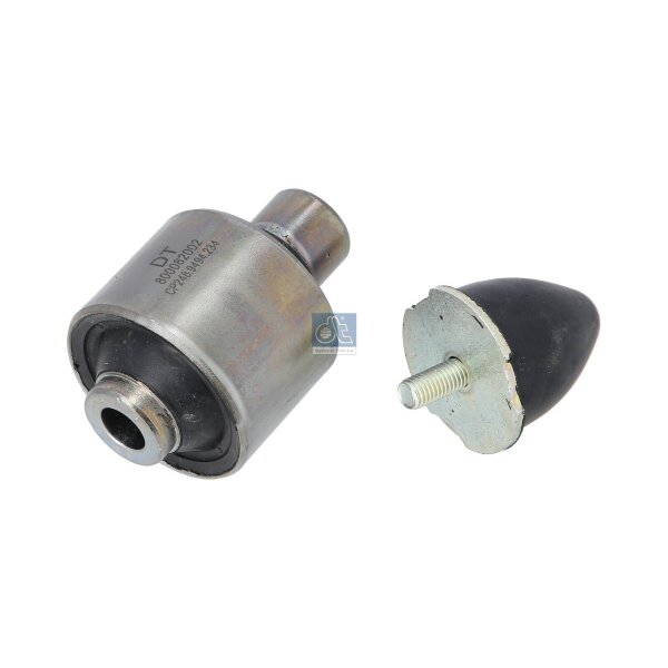 Buchse Fahrerhauslagerung DT SPARE PARTS IAM-Expertise passend für RENAULT