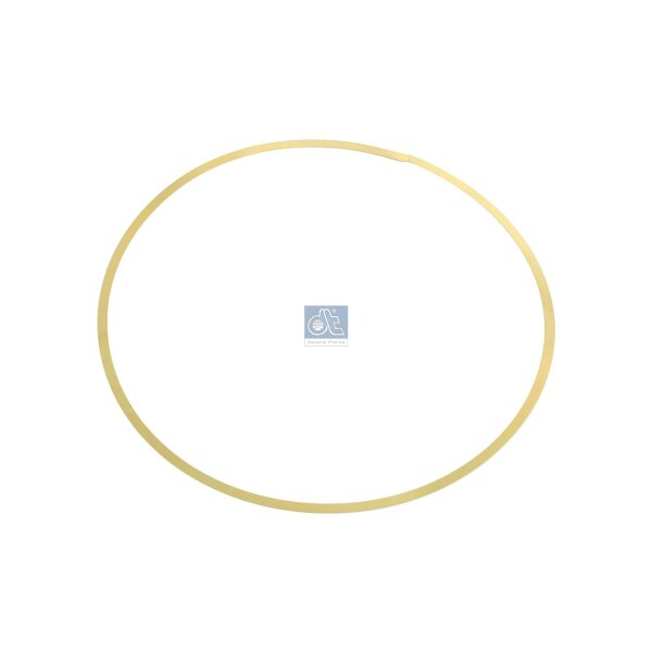 Dichtung Zylinderlaufbuchse 01 mm DT SPARE PARTS IAM-Expertise passend für IVECO