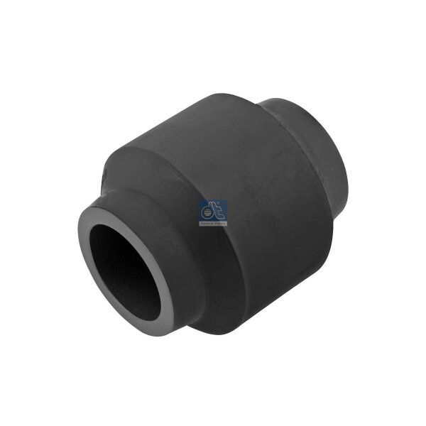 Lagerbuchse Blattfeder Ø 30 mm DT SPARE PARTS IAM-Expertise passend für BPW