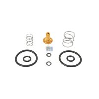 Repair Kit shift cylinder DT SPARE PARTS IAM-Expertise...