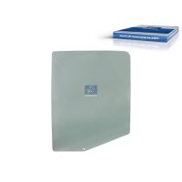Türscheibe links DT SPARE PARTS IAM-Expertise...