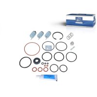 Repair Kit DT SPARE PARTS IAM-Expertise suitable for e.g....