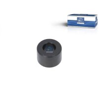 Buchse Schaltstange DT SPARE PARTS IAM-Expertise passend...