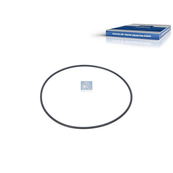 Sealing Ring Ø 119 mm 3 mm DT SPARE PARTS IAM-Expertise suitable for DAF