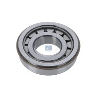 Lager Achsschenkel DT SPARE PARTS IAM-Expertise passend...