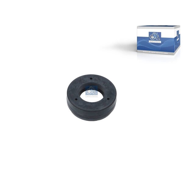 Non-Return Valve DT SPARE PARTS IAM-Expertise suitable for DAF