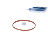 Dichtung Ansaugkrümmer DT SPARE PARTS IAM-Expertise...
