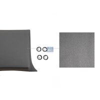 Zier-/Schutzleiste Seitenwand DT SPARE PARTS...