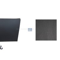 Zier-/Schutzleiste Seitenwand DT SPARE PARTS...