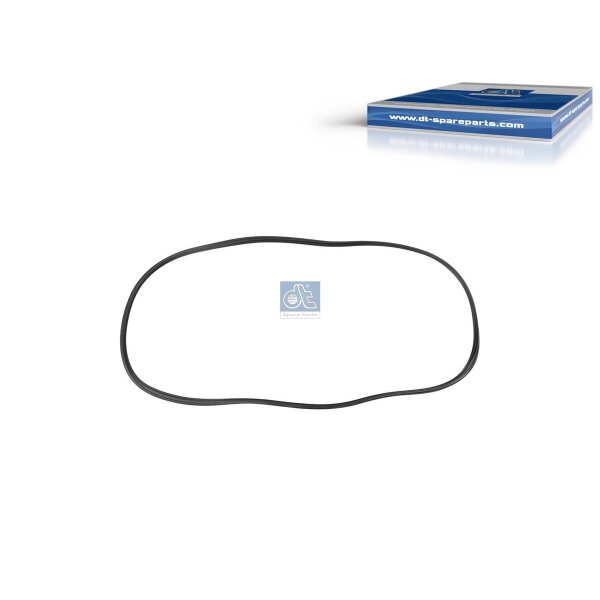 Türdichtung DT SPARE PARTS Aftermarket-Expertise passend für IVECO