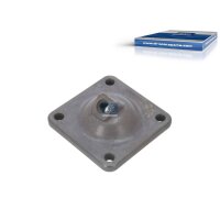 Dichtung Differential DT SPARE PARTS IAM-Expertise...