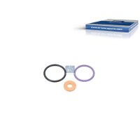 Seal Ring Set DT SPARE PARTS Injector IAM-Expertise...