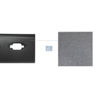 Zier-/Schutzleiste Seitenwand DT SPARE PARTS passend...