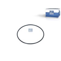 Dichtring Ø 753 mm 24 mm DT SPARE PARTS...