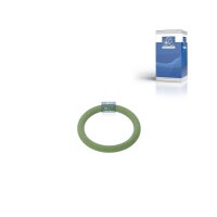 Sealing Ring Ø 205 mm FPM fluorine rubber 29 mm DT...