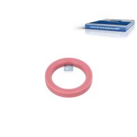 Dichtring Düsenhalter Ø 24 mm DT SPARE PARTS...