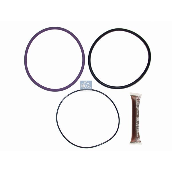 Dichtungssatz Zylinderlaufbuchse DT SPARE PARTS für u.a. VOLVO FL10