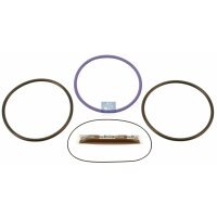 Dichtungssatz Zylinderlaufbuchse DT SPARE PARTS für...