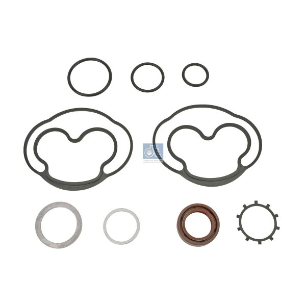 Dichtungssatz Hydraulikpumpe DT SPARE PARTS IAM-Expertise passend für RENAULT