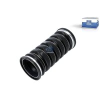 Ladeluftschlauch DT SPARE PARTS IAM-Expertise passend...
