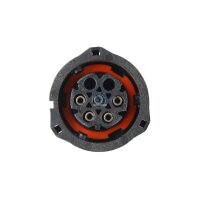 Radiator Fan Clutch DT SPARE PARTS IAM-Expertise fits FORD F-MAX