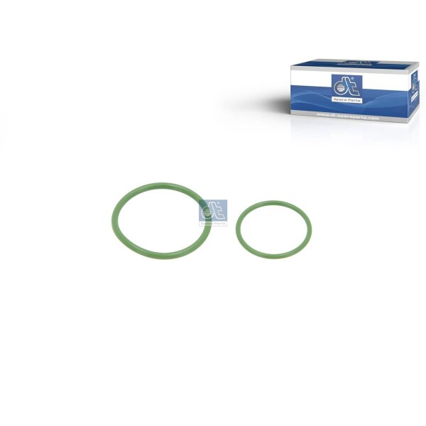 Dichtung Kraftstofffilter DT SPARE PARTS IAM-Expertise passend für DAF