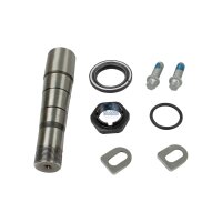 Repair Kit Kingpin DT SPARE PARTS Aftermarket-Expertise...