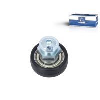 Laufrolle Seitenplane 9 mm DT SPARE PARTS IAM-Expertise...