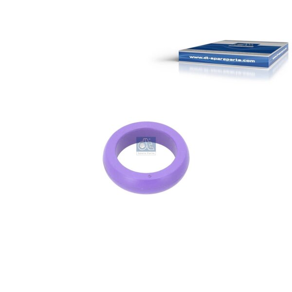 Dichtring Ölleitung DT SPARE PARTS IAM-Expertise passend für u.a. RENAULT