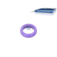Dichtring Ölleitung DT SPARE PARTS IAM-Expertise...