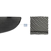 Kühlergittereinsatz DT SPARE PARTS IAM-Expertise...