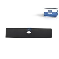 Zier-/Schutzleiste Seitenwand DT SPARE PARTS passend...