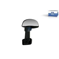 Frontspiegel Fahrerhaus DT SPARE PARTS IAM-Expertise...