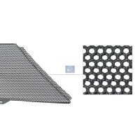 Kühlergittereinsatz DT SPARE PARTS IAM-Expertise...